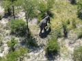 11 Botswana Okavango delta