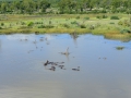 8 Botswana Okavango delta