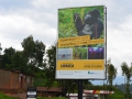 1 Rwanda Gorilla Trek