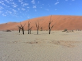 24  Namibie Sossousvlei