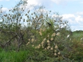 3 Namibie Okavango