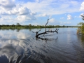 6 Namibie Okavango