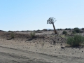 Namibie 008