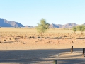 Namibie 052