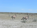 Namibie 094