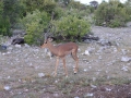 Namibie 113