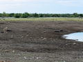 17 Namibie Etosha